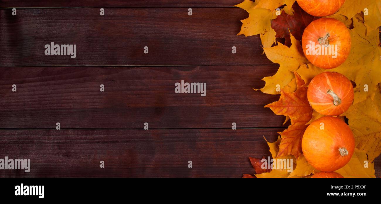 Récolte d'automne. Citrouilles mûres et feuilles mortes sur fond de bois. Thanksgiving et halloween concept. Copier l'espace. Format de bannière Banque D'Images