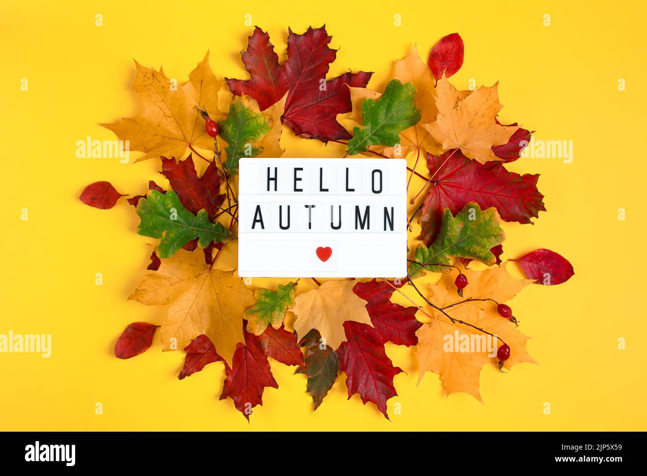 Bonjour automne. Signe avec l'inscription et les feuilles tombées sur un fond jaune. Début de la saison d'automne. Banque D'Images