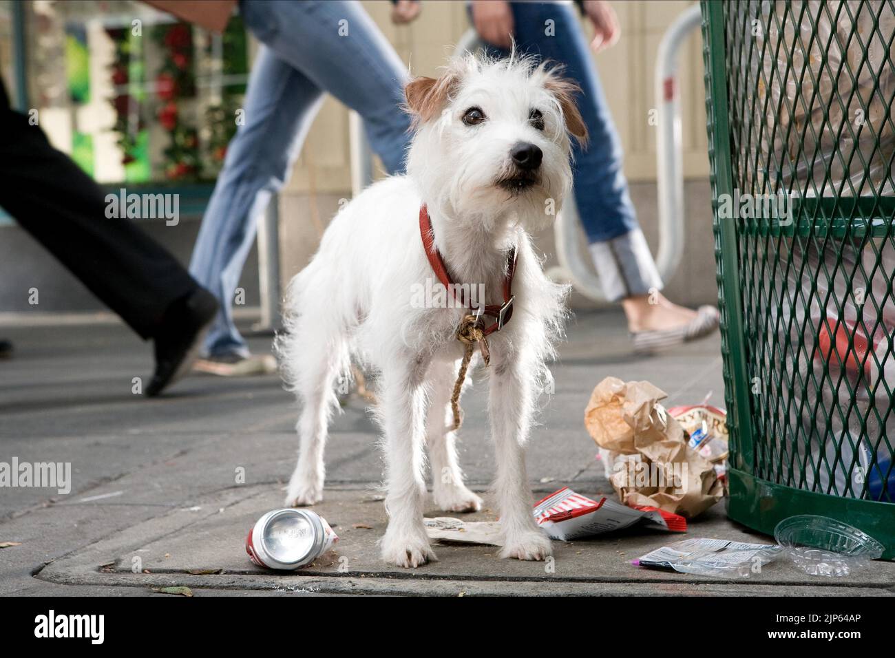 VENDREDI, HÔTEL POUR CHIENS, 2009 Banque D'Images