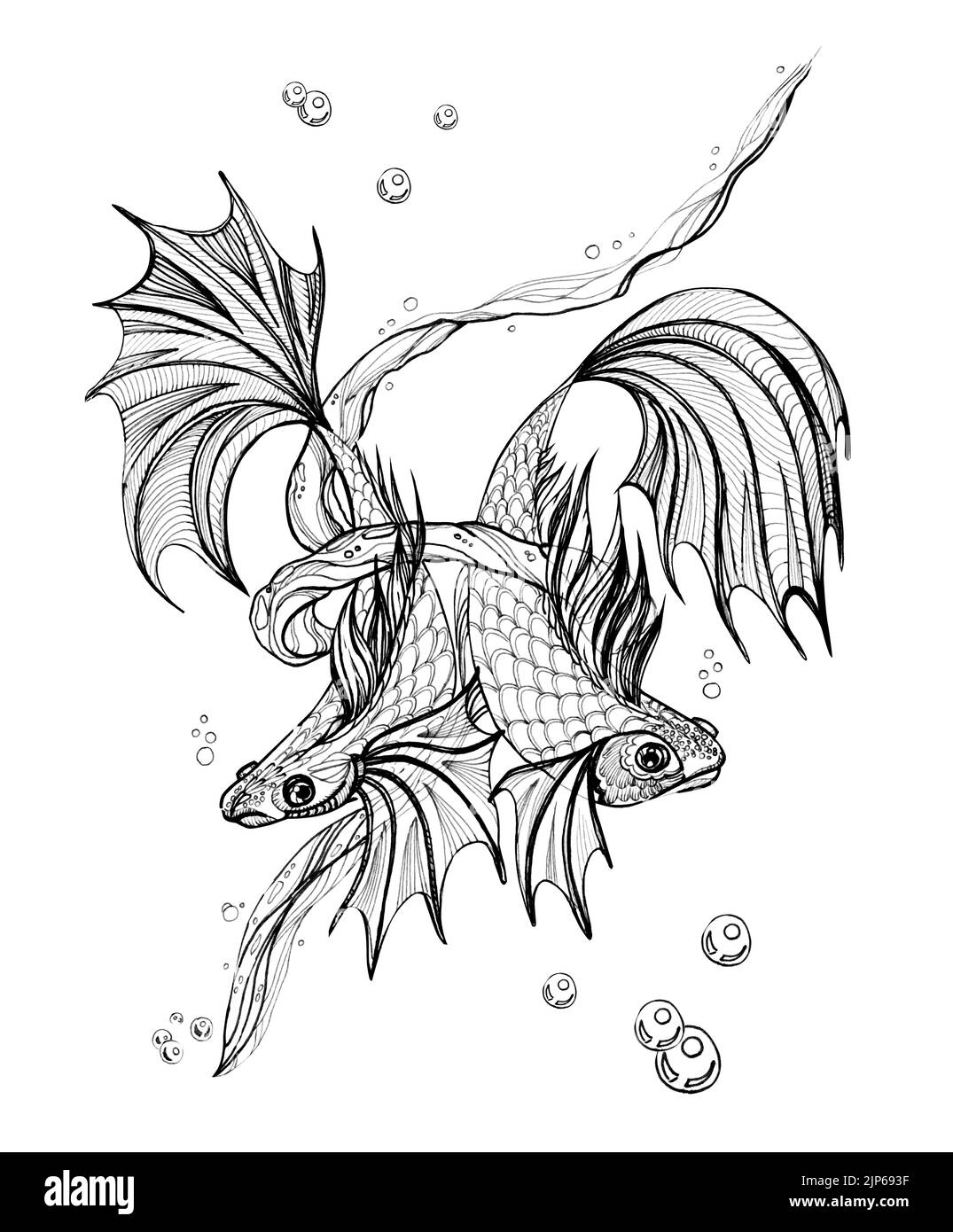 Deux poissons comme symbole du zodiaque. Dessin pour livre de coloriage. Banque D'Images