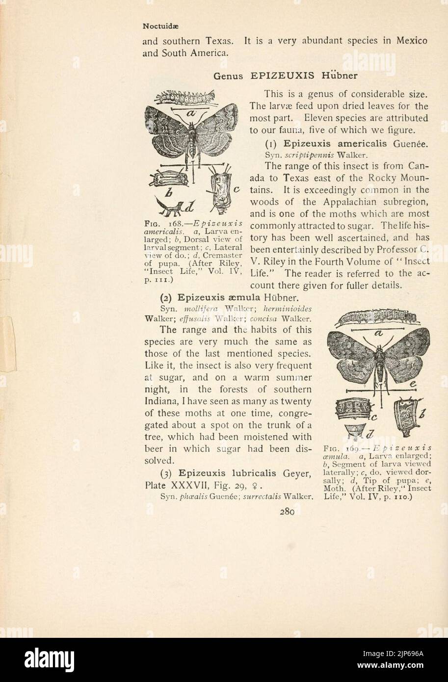 Livre The Moth Book (page 280) Banque D'Images