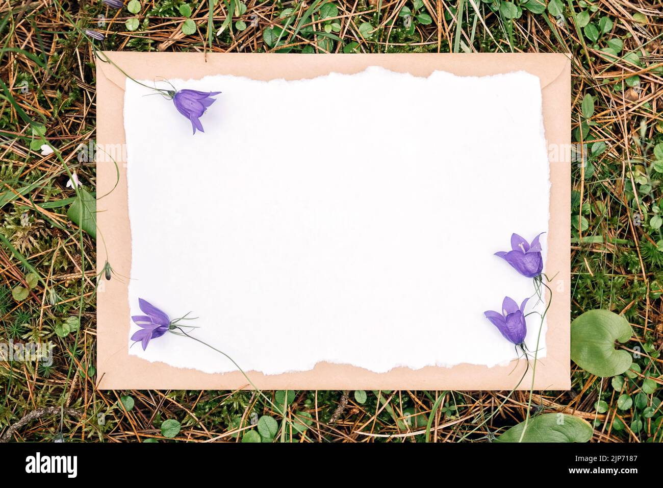 Carte blanche vierge et fleurs, enveloppe artisanale sur fond vert naturel en forêt. Concept écologique. Vue de dessus maquette de Flat Lay. Banque D'Images