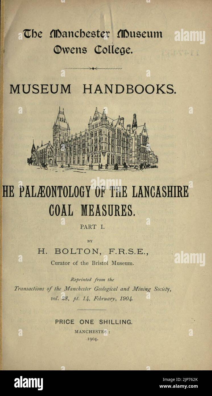 La paléontologie des mesures du charbon du Lancashire Banque D'Images