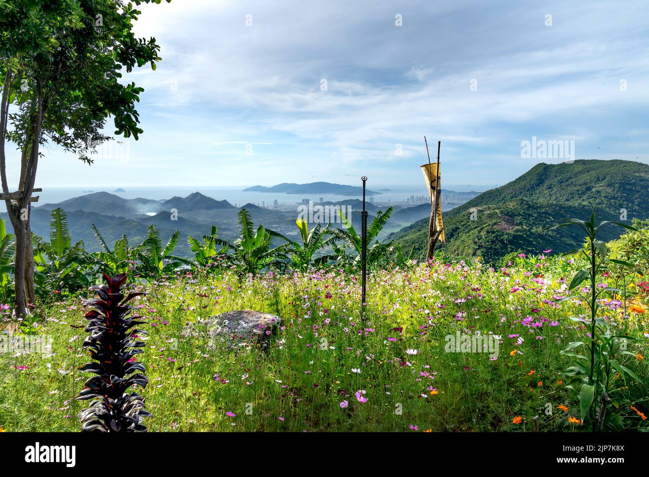 Un petit jardin fleuri de l'homestay est situé au milieu de la forêt de haute montagne. De là, regardez la célèbre ville touristique côtière de Banque D'Images