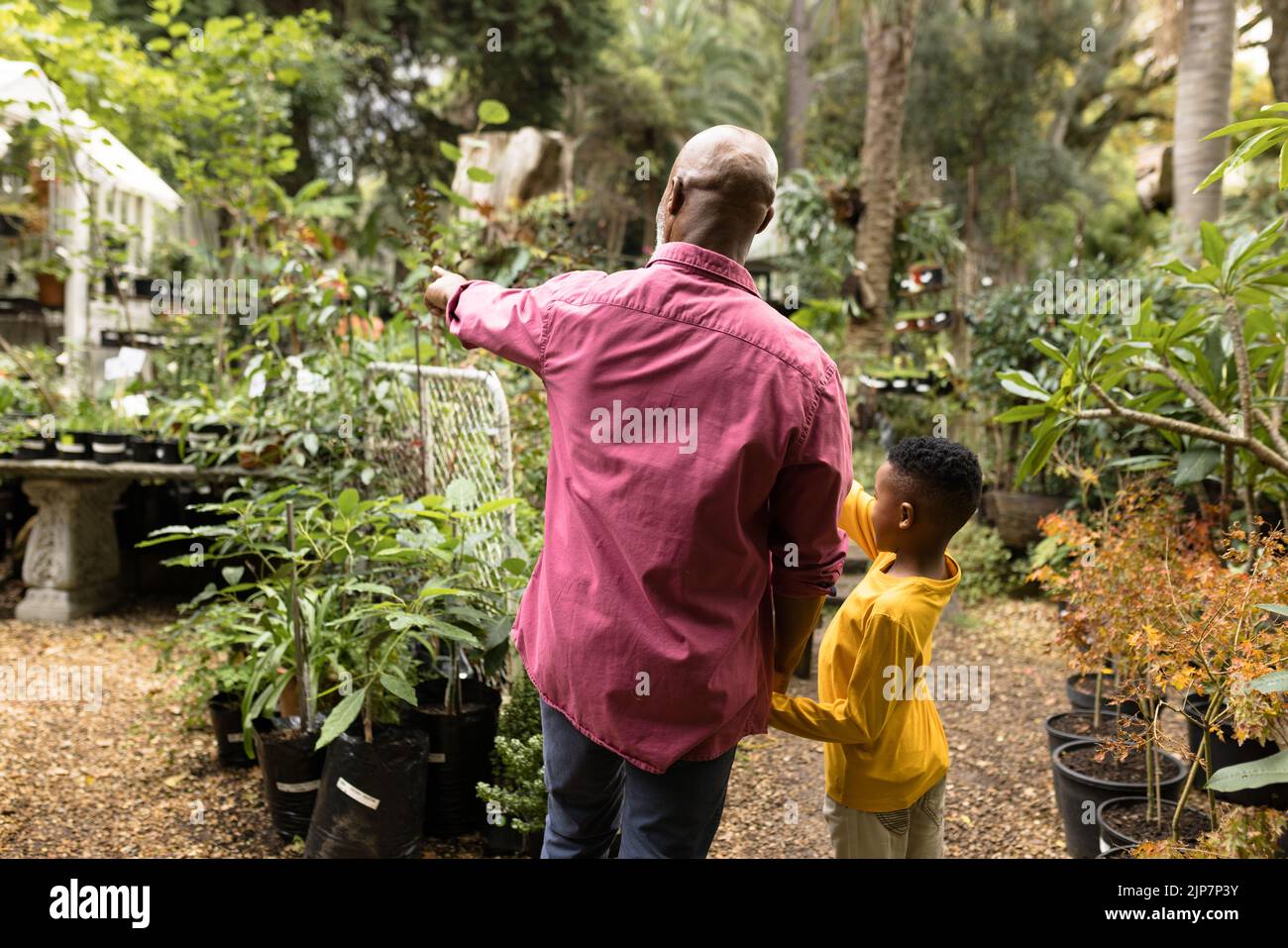 Homme afro-américain senior avec son petit-fils pointant du doigt dans le jardin Banque D'Images