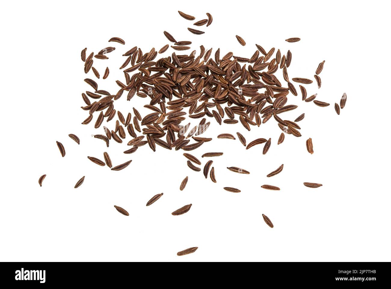 Les graines de calaway sont le fruit séché de la plante de calaway, Carum carvi, une plante bisannuelle de la famille des Apiaceae, originaire d'Asie occidentale, d'Europe et d'NOR Banque D'Images