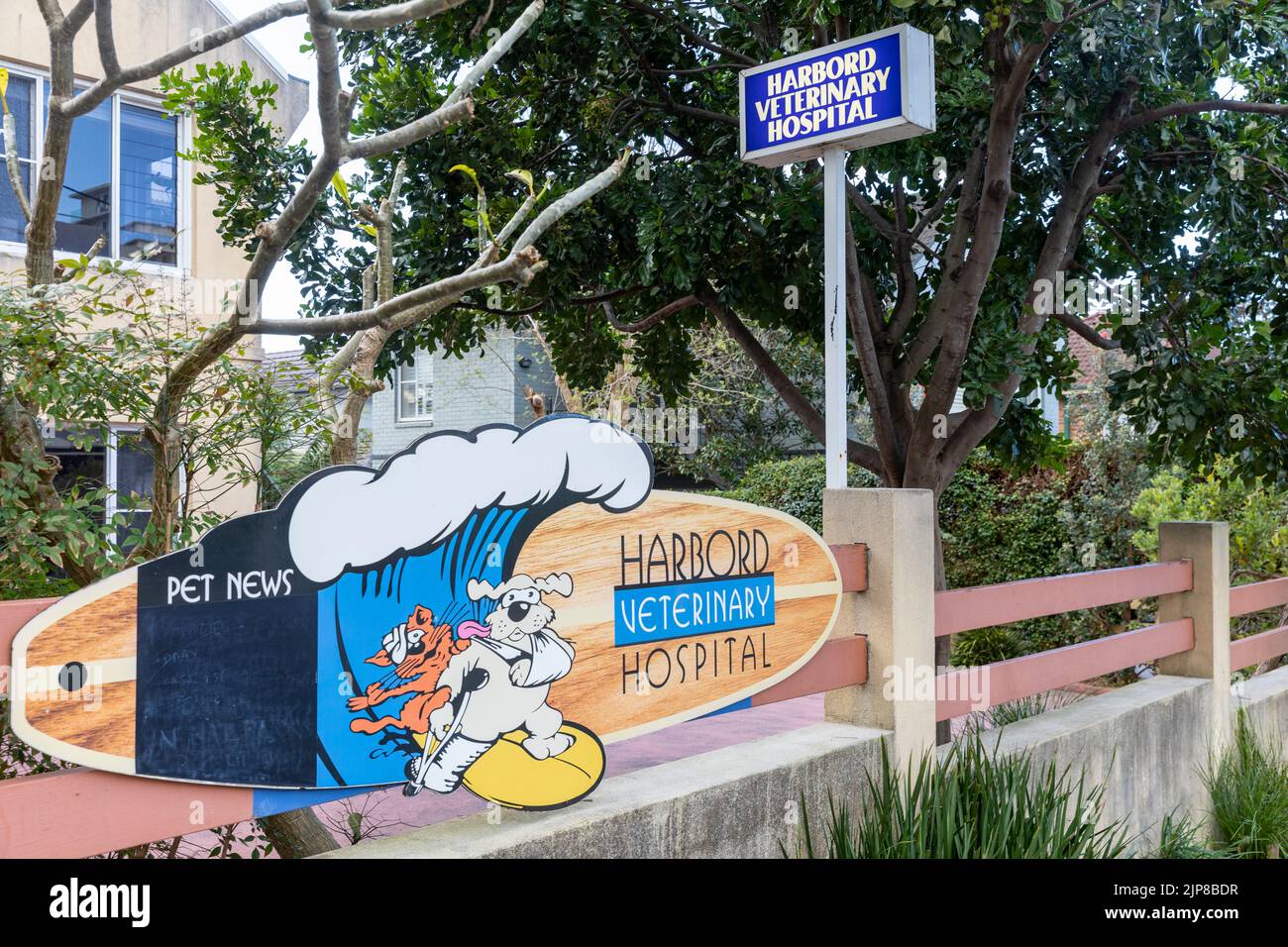 Harbord hôpital vétérinaire pour animaux domestiques, Freshwater,Sydney,NSW,Australie panneau de surf avec chien bandé Banque D'Images