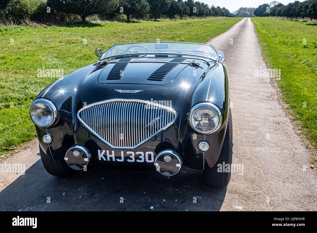 Voiture de sport classique. Une spécification 1955 Austin Healey 100 “M” avec pare-brise rabattu, qui améliore l'aérodynamisme. Preston Candover, Royaume-Uni Banque D'Images