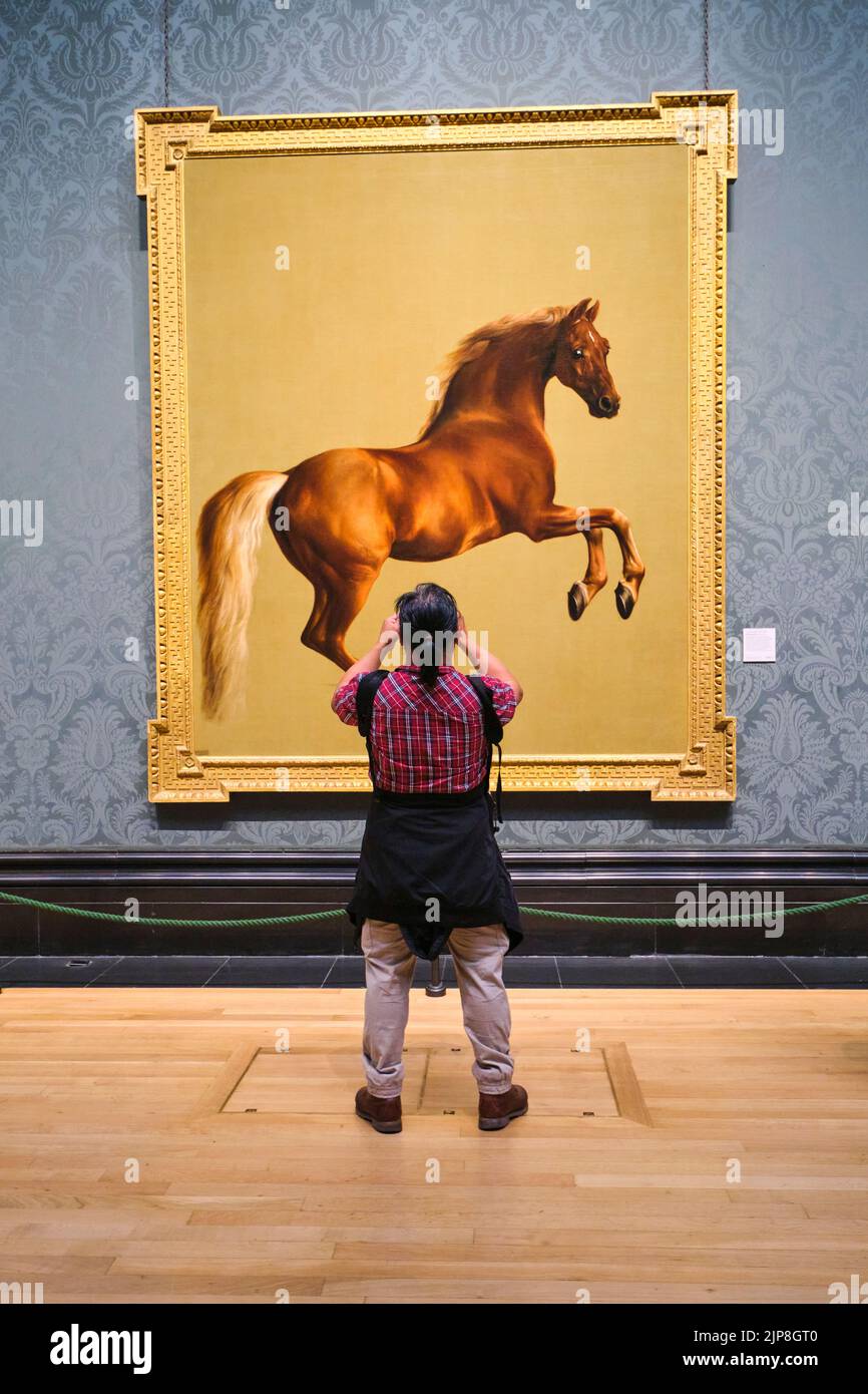 Un visiteur prend une photo de la peinture du cheval sifflet de George Stubbs. Au National Gallery Museum de Londres, Angleterre, Royaume-Uni. Banque D'Images