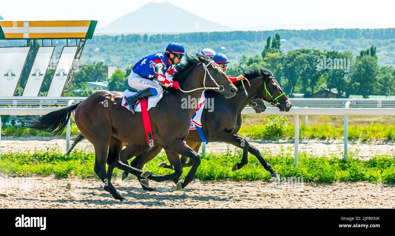 Terminez la course à cheval pour le prix de la Volga à Pyatigorsk, dans le nord du Caucase, Banque D'Images