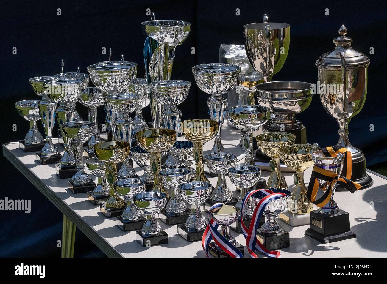 Trophées dans le Grand Tournoi de Wrestling Cornish à St Mawgan à Pydar en Cornouailles en Angleterre au Royaume-Uni. Banque D'Images