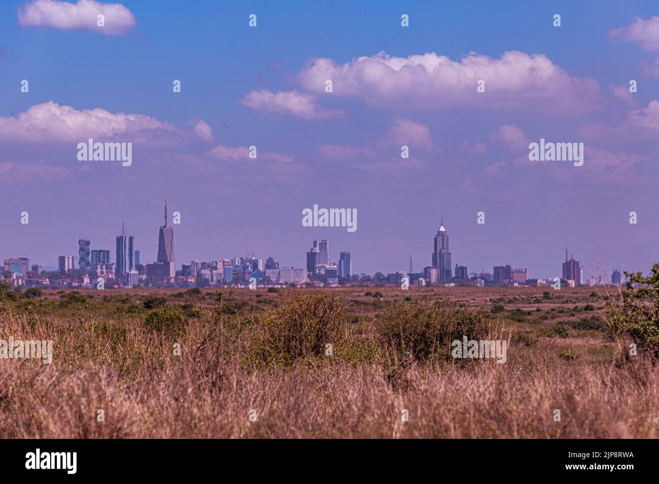Nairobi City County National Park oiseaux animaux faune savane prairies paysages panoramiques vues panoramiques magiques Kenya Afrique de l'est Discovery Exp Banque D'Images