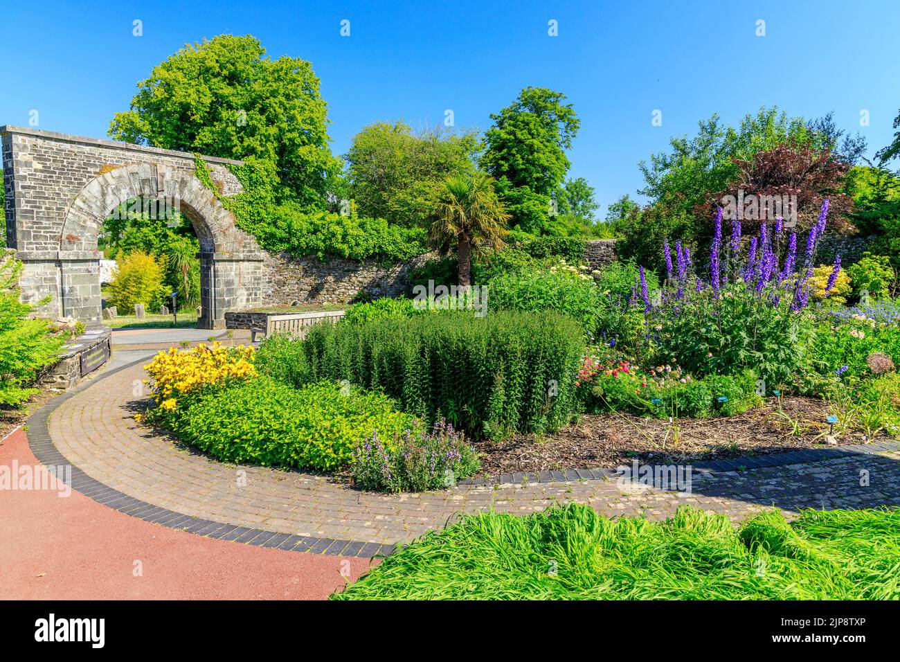 Plantation colorée à l'extérieur de la Maison de la Principauté au jardin botanique national du pays de Galles, à Llanarthne, dans le Carmarthenshire, au pays de Galles, au Royaume-Uni Banque D'Images