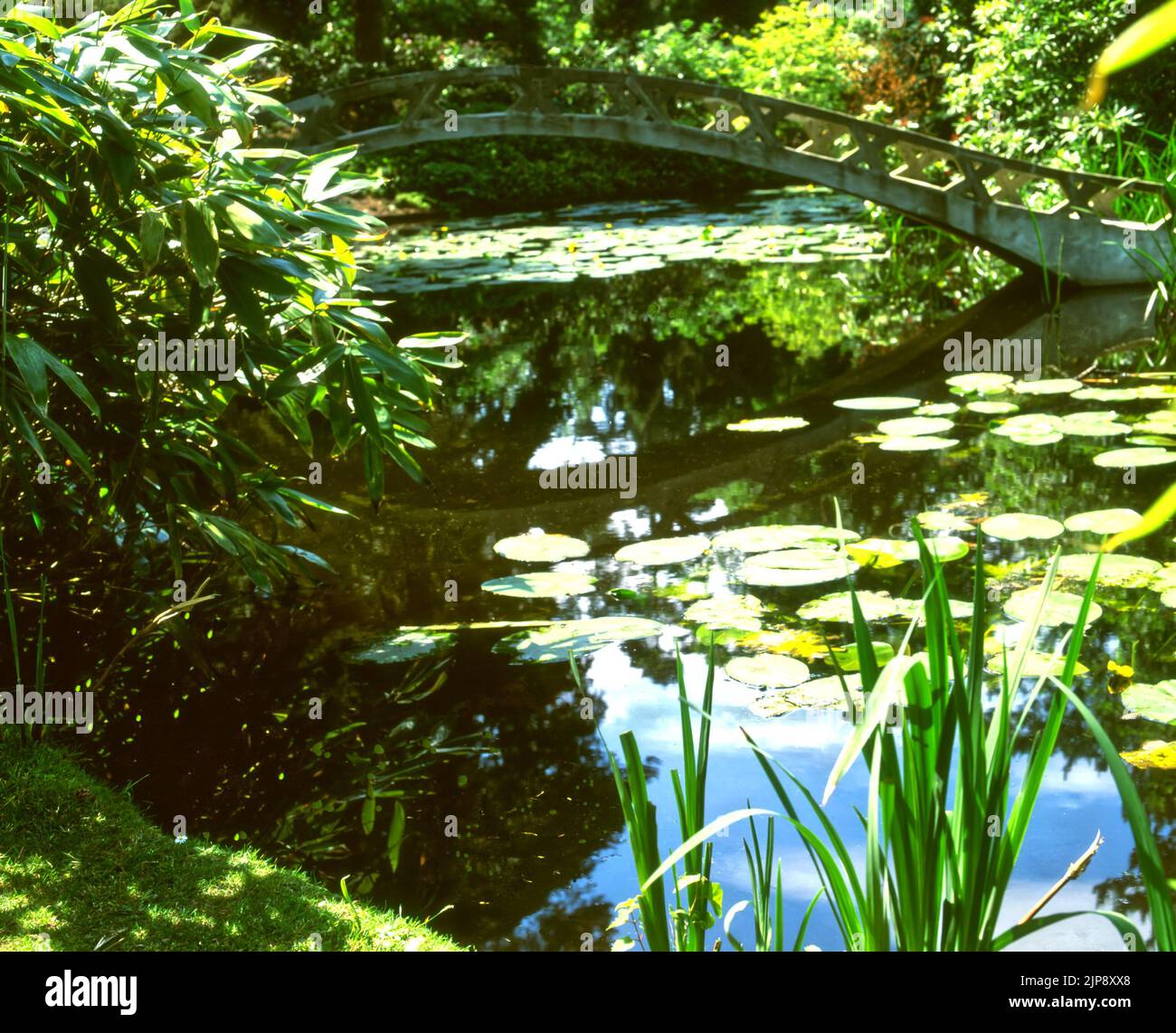 Jardin aquatique à Tatton Park avec un pont Banque D'Images