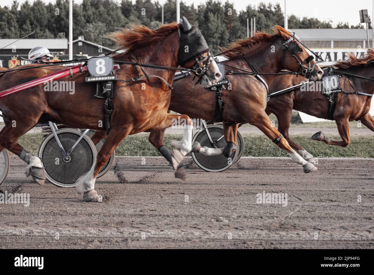 La course de harnais à Oulu, en Finlande. Sports équestres. Banque D'Images