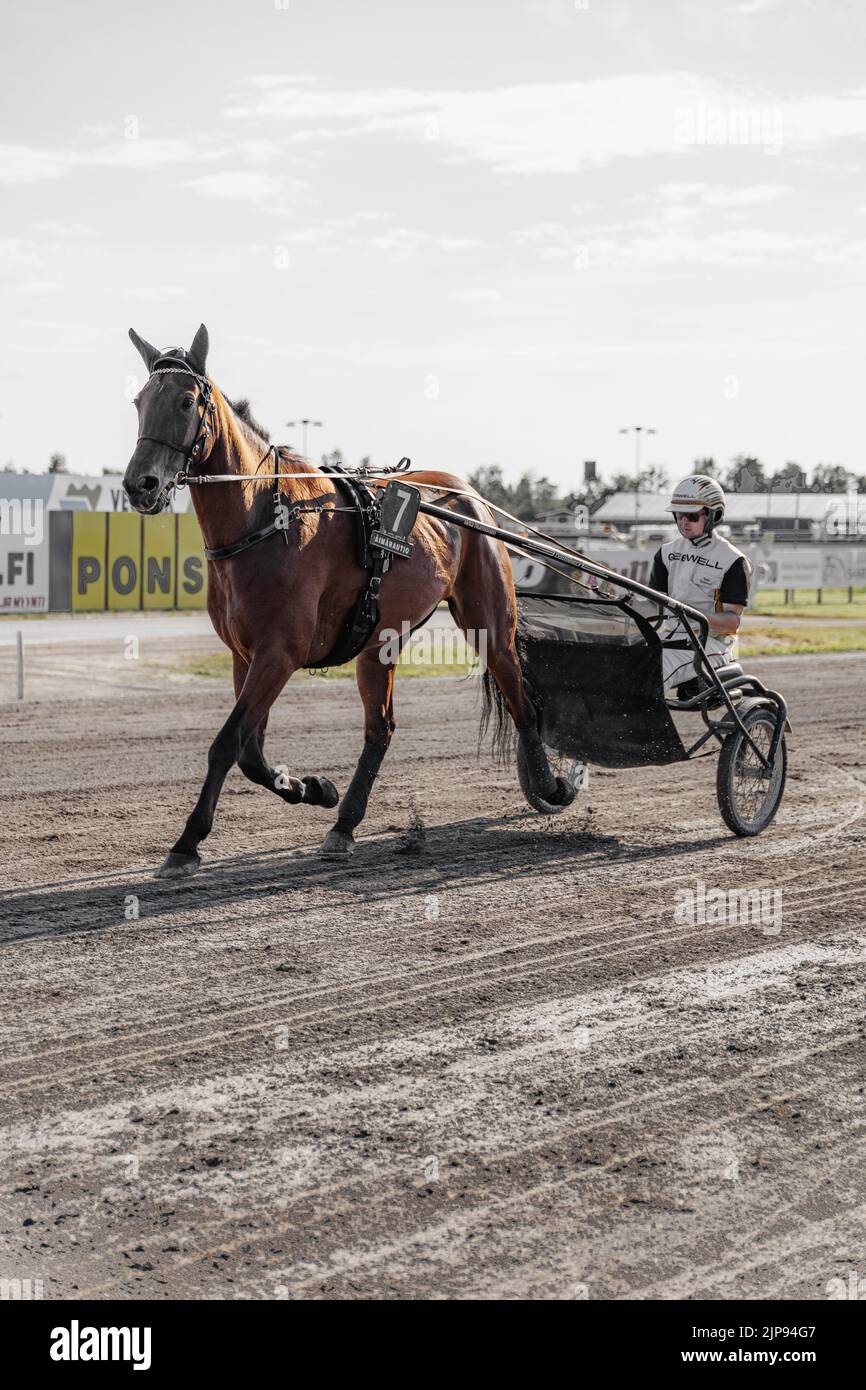 La course de harnais à Oulu, en Finlande. Sports équestres. Banque D'Images