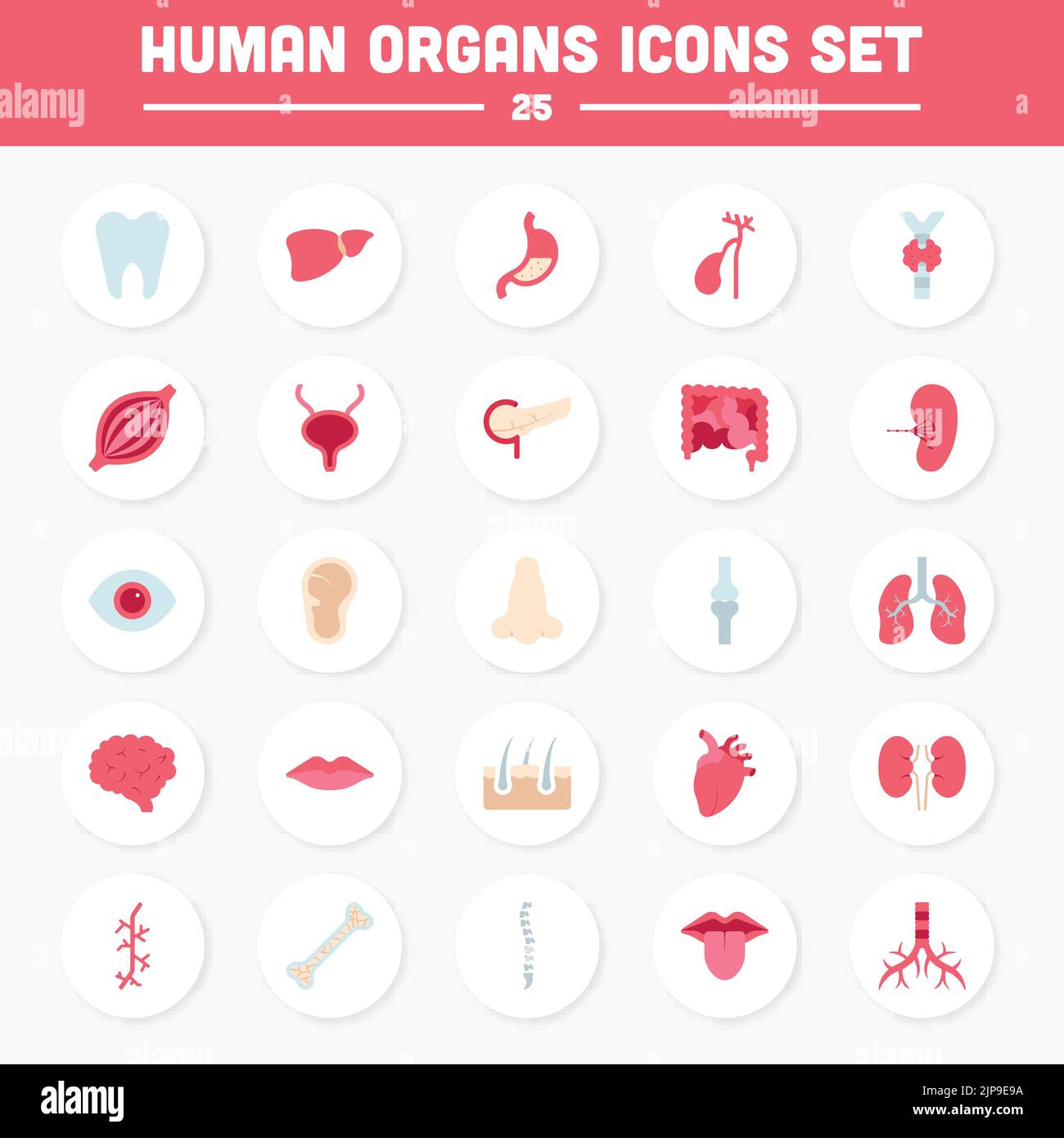 Jeu d'icônes circulaires d'organes humains de style plat. Illustration de Vecteur