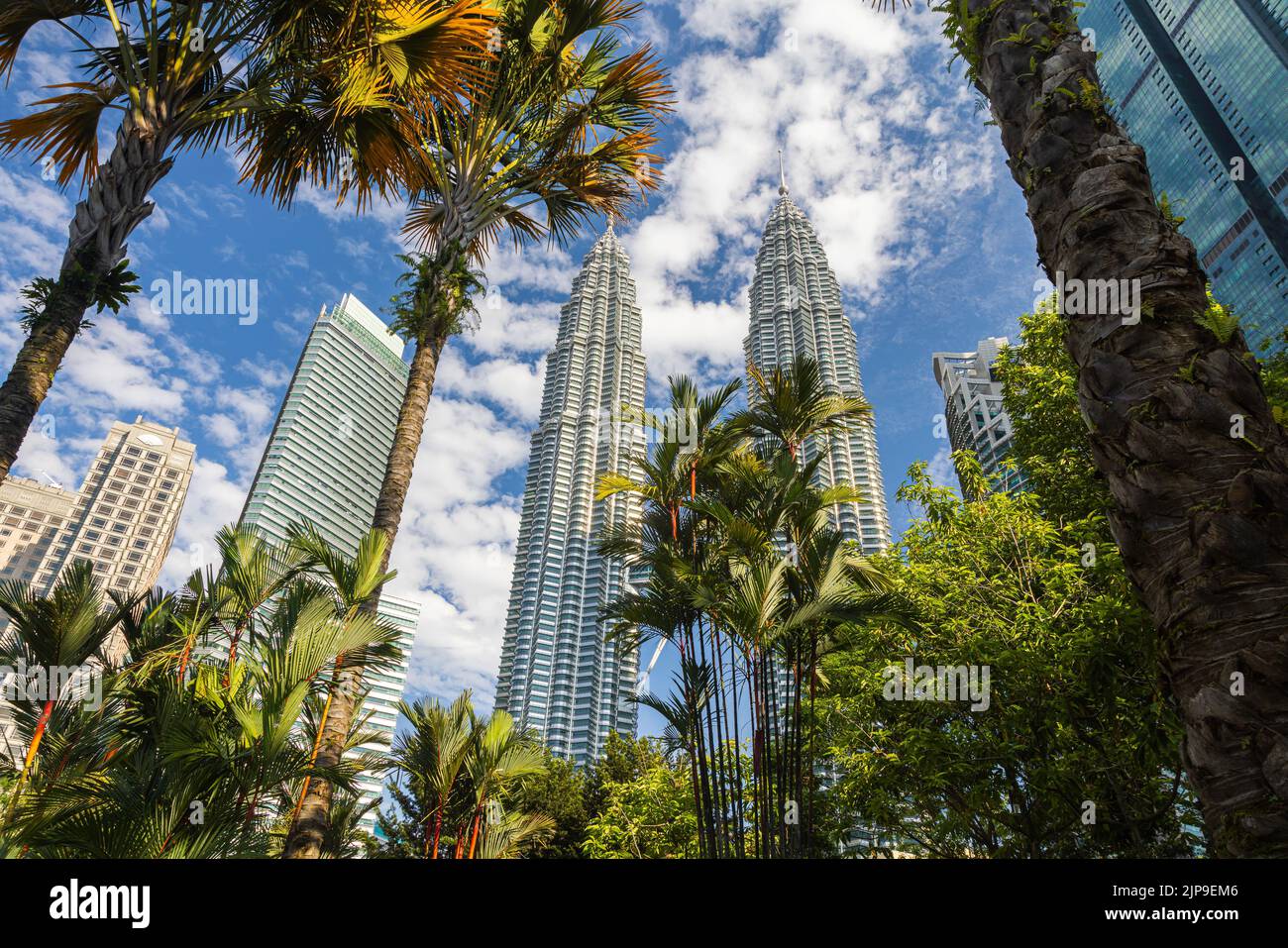 Kuala Lumpur, Malaisie - 13 août 2022 : vue sur les tours jumelles à travers les palmiers du parc KLCC. Oasis urbaine avec spectacle de fontaine. Petronas Banque D'Images