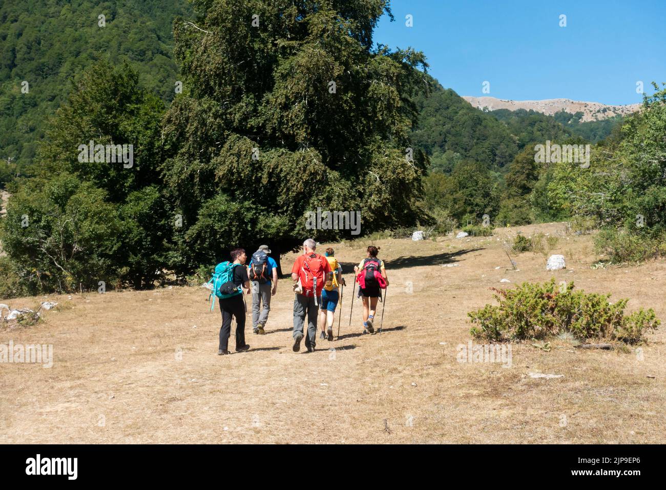 Août 2022 - Pescasseroli, Abruzzi, Italie centrale - Groupe de randonnées à cheval dans la montagne Banque D'Images