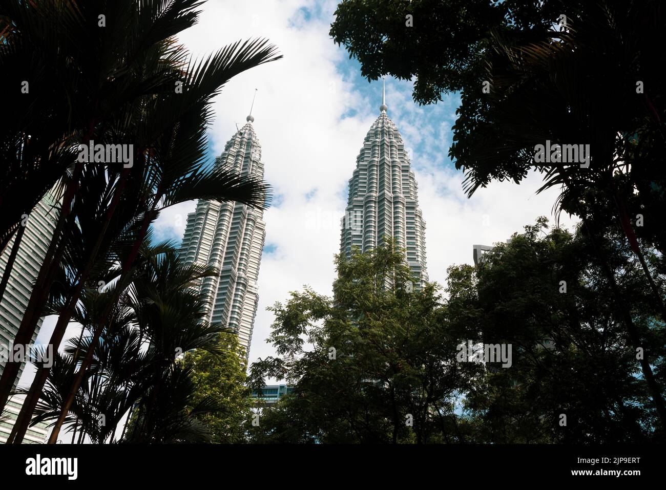 Kuala Lumpur, Malaisie - 13 août 2022 : vue sur les tours jumelles à travers les palmiers du parc KLCC. Oasis urbaine avec spectacle de fontaine. Petronas Banque D'Images