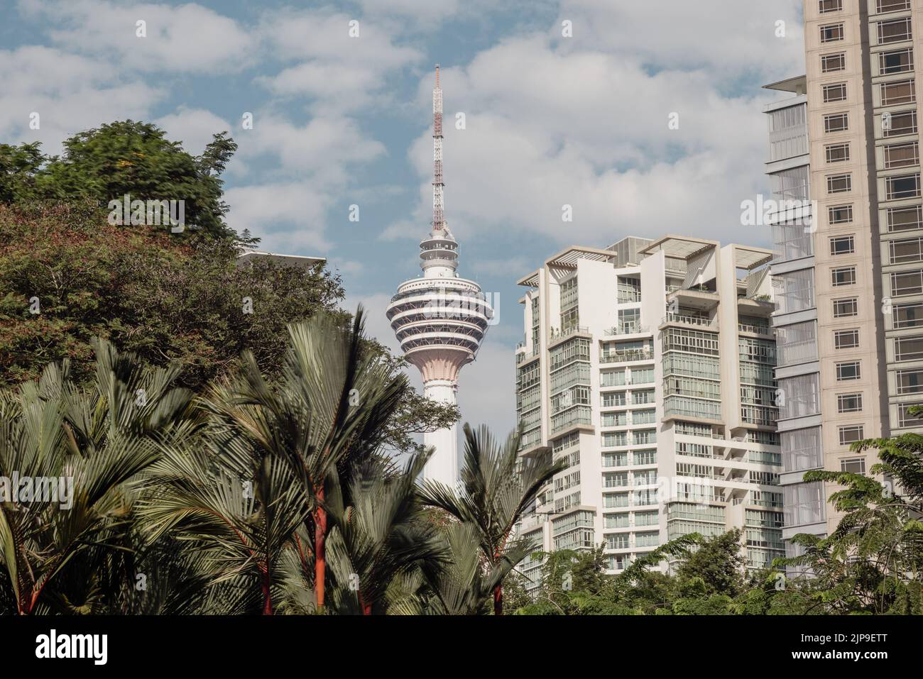 Kuala Lumpur, Malaisie - 13 août 2022 : vue sur la tour Menara ou la tour KL à travers les palmiers du parc KLCC. Photo HDR à exposition longue d'une seule photo Banque D'Images