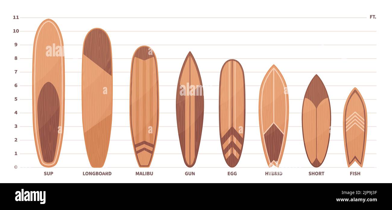Types de planches de surf en bois. Différents types de planches, Sup, longboard et hybride, les attrape-vagues, l'océan et mer style de vie de sport d'été, grille dimensionnelle Illustration de Vecteur