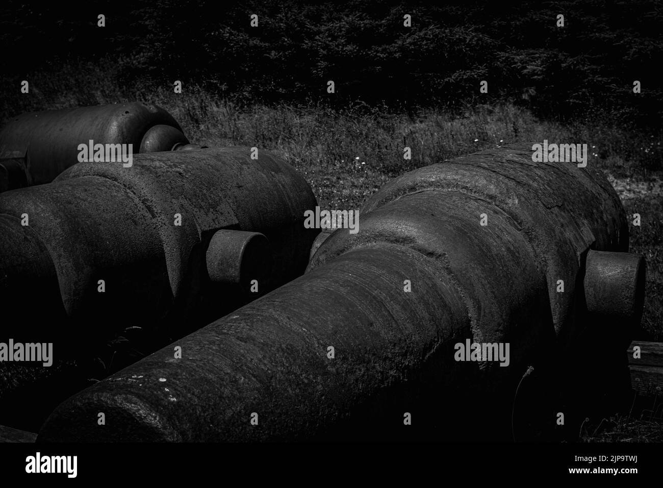 10 pouces, 18 tonnes, Mk. II et 9 pouces 12 tonnes Mk. II fusil Muzzleloading avec canons à anneaux de type Millar sur des blocs de bois Banque D'Images