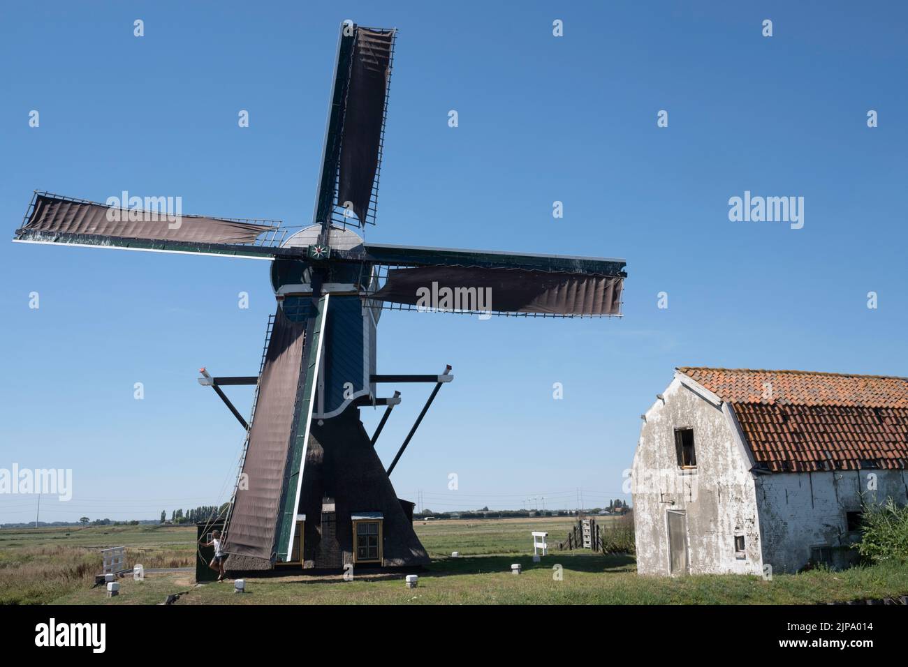 Usine POLDER 'de Blauwe WIP' à Hazerswoude-Dorp, dans le sud de la Hollande, construite en 1636, avec ancienne grange. Soleil et ciel bleu Banque D'Images
