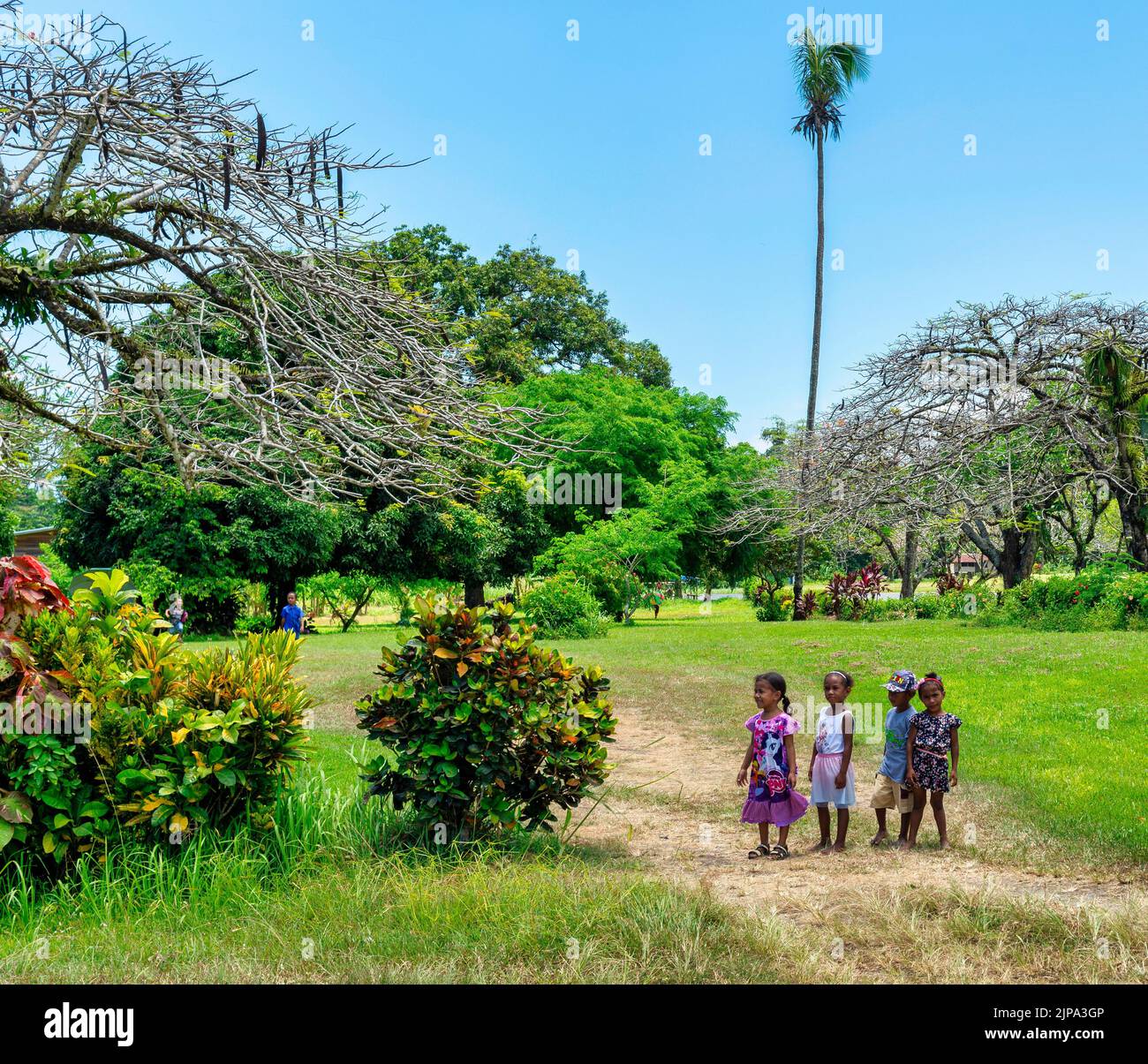 Un groupe de jeunes enfants dans le parc vert d'Alatoa, Papouasie-Nouvelle-Guinée Banque D'Images