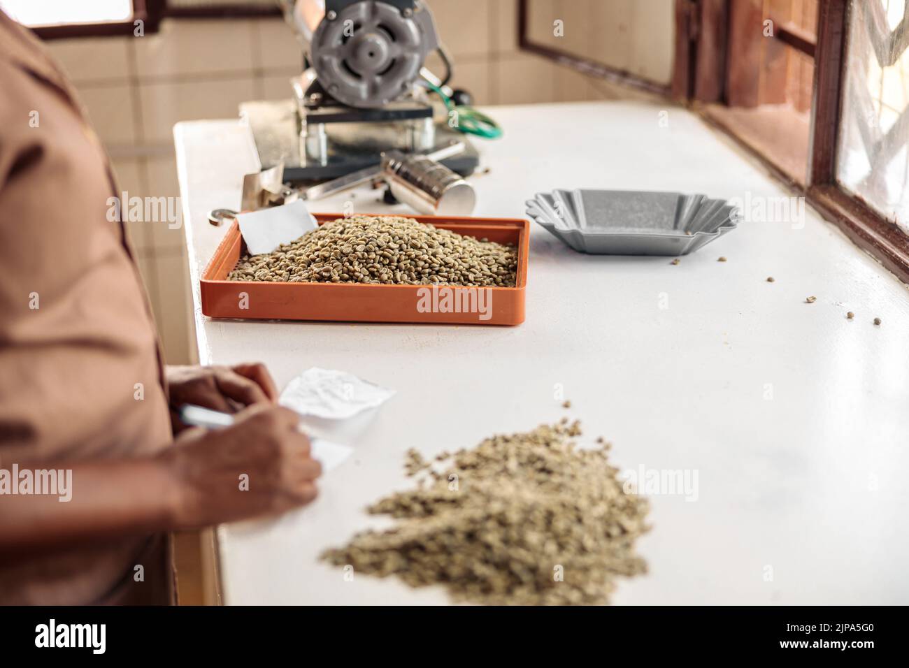 Femme afro-américaine prenant des notes et triant des grains de café Banque D'Images