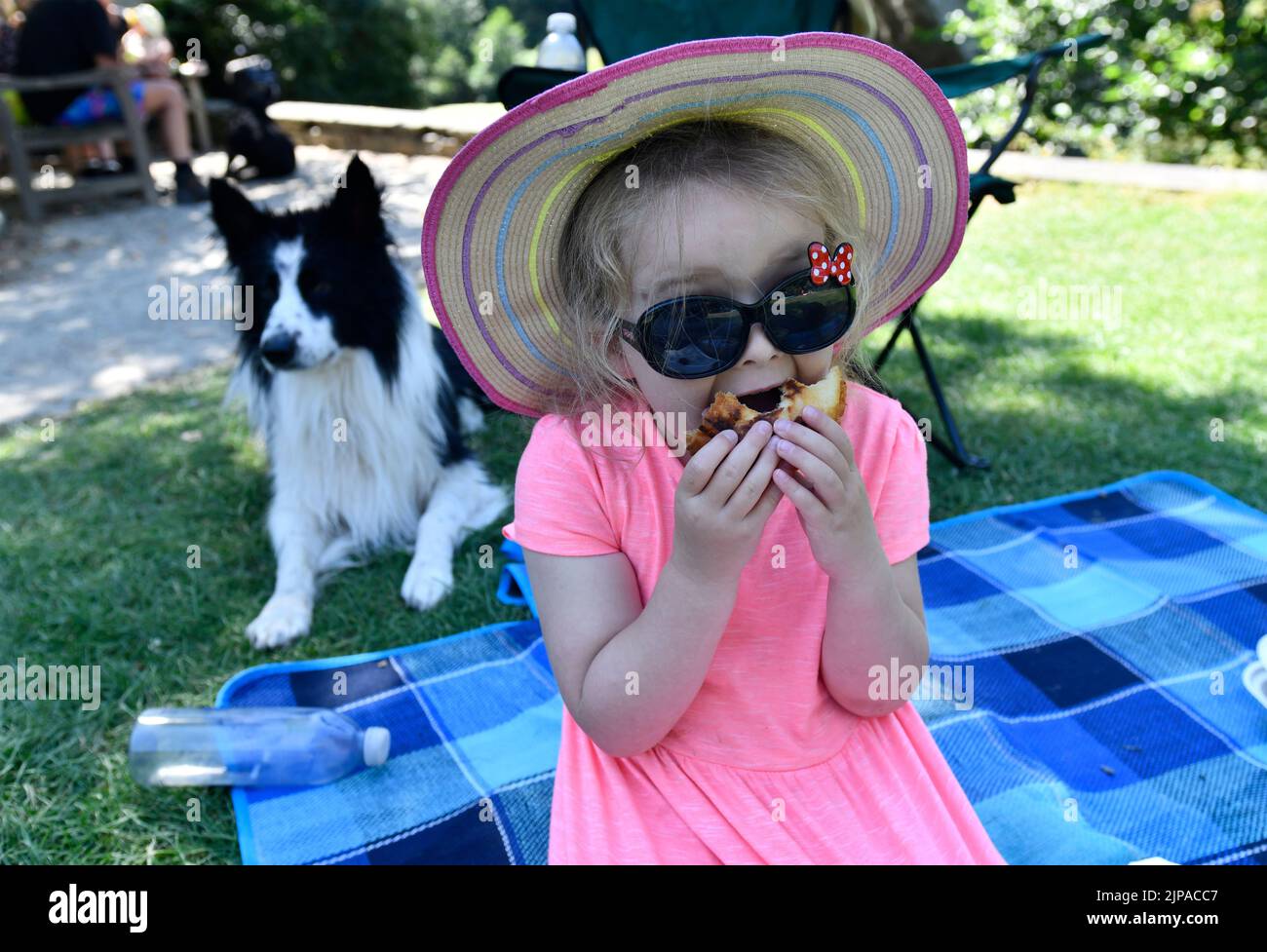 Enfant mangeant un hamburger de bœuf sur un pique-nique Grande-Bretagne, Royaume-Uni Banque D'Images