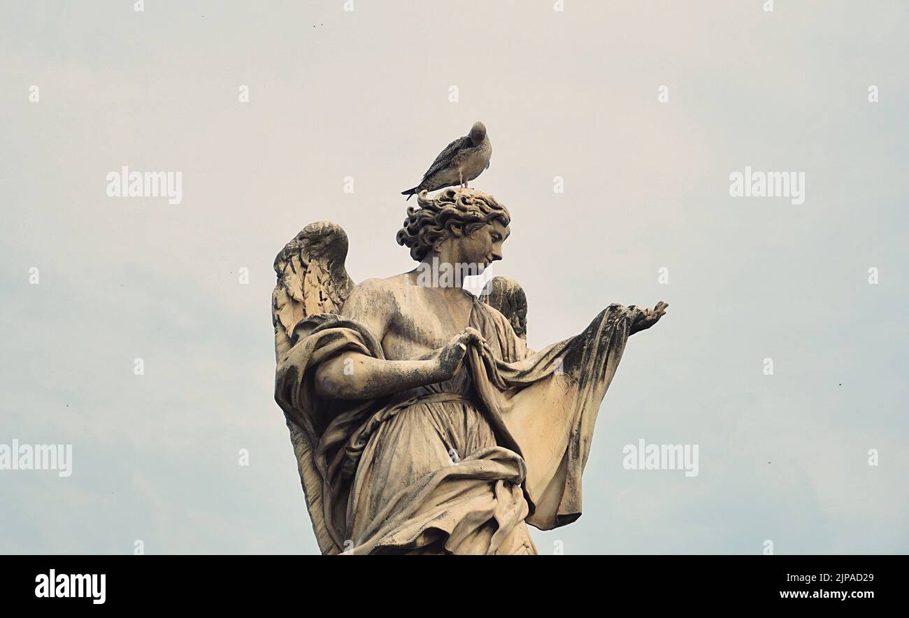 Une vue sur une colombe perchée sur une belle sculpture à Rome, en Italie Banque D'Images