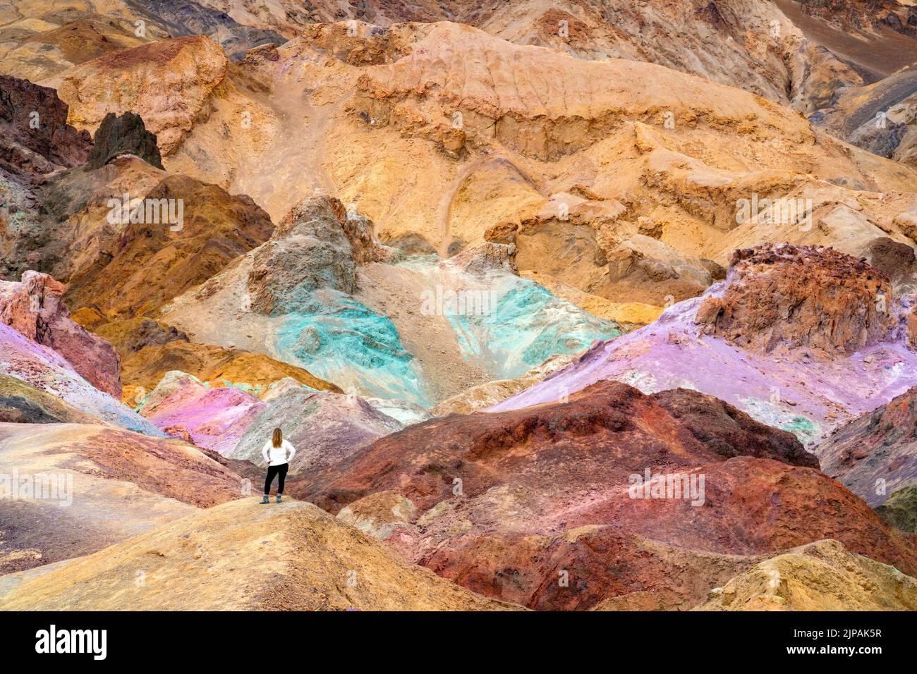 Randonneur admirant artistes coloré Palette, Bad Lands Artists Drive Death Valley National Park, Californie, Amérique du Nord, États-Unis Banque D'Images
