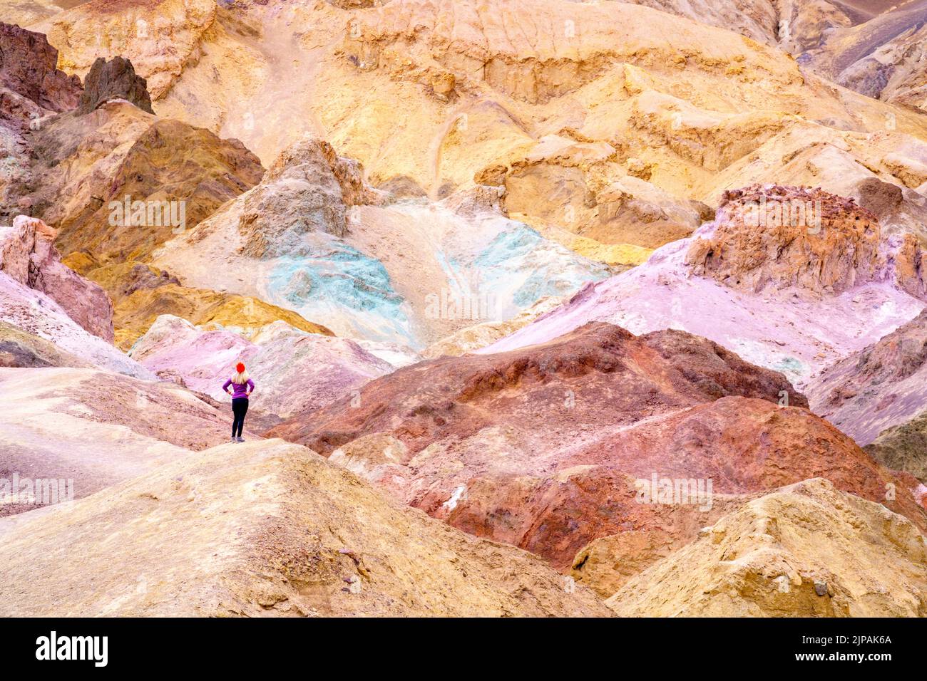Randonneur admirant artistes coloré Palette, Bad Lands Artists Drive Death Valley National Park, Californie, Amérique du Nord, États-Unis Banque D'Images
