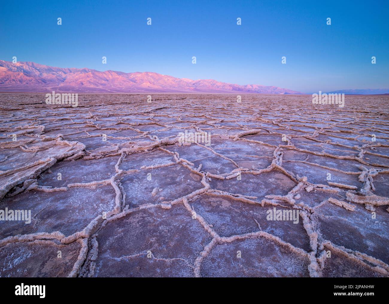 Crépuscule avant Sunrise Bad Water Basin, Salt Flats, Salt Crusts Parc national de la Vallée de la mort, Californie, Amérique du Nord, Etats-Unis Banque D'Images