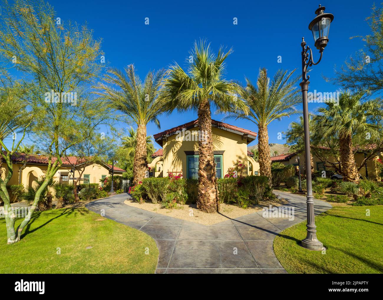 Casitas at the INN at the Oasis Hotel, Furnace Creek, piscine et palmiers dans le parc national de Desert Death Valley, Californie, Amérique du Nord Banque D'Images