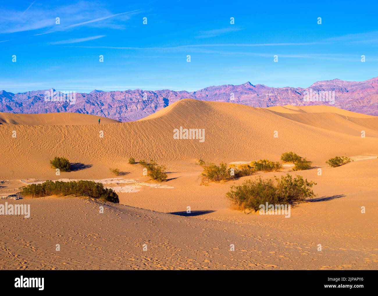 Dunes de sable de Mesquite, parc national de la Vallée de la mort, Californie, Amérique du Nord, États-Unis Banque D'Images