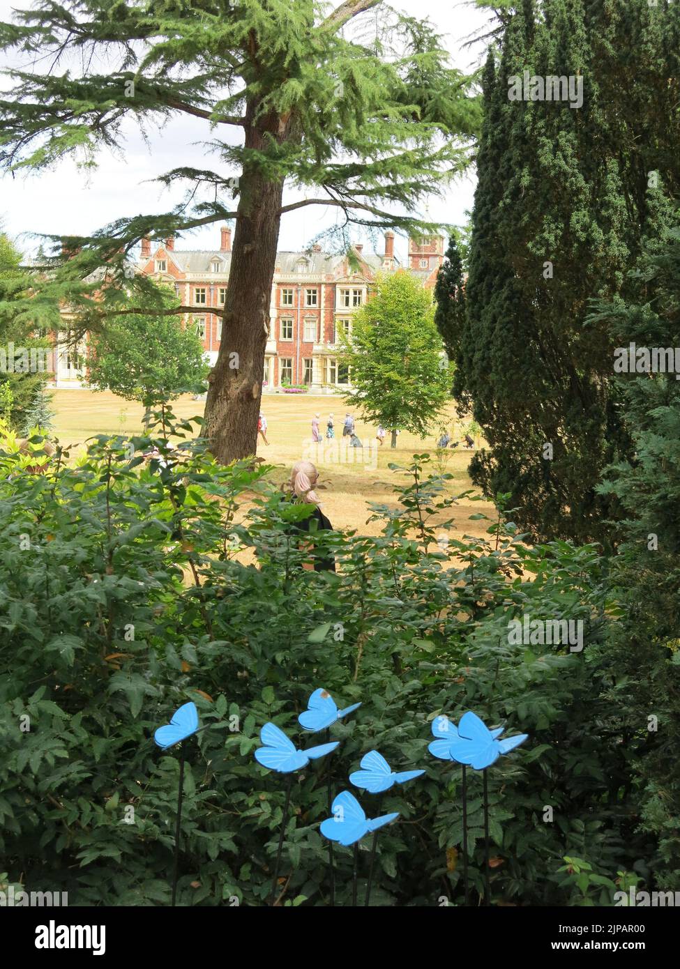 L'installation de papillons bleus dans les jardins de Sandringham a exposé 2 500 papillons métalliques conçus par un forgeron local pour Norfolk Hospice. Banque D'Images