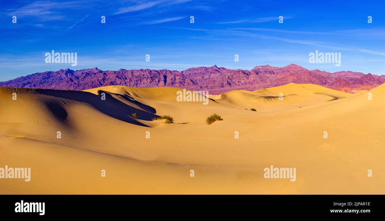 Dunes de sable de Mesquite, parc national de la Vallée de la mort, Californie, Amérique du Nord, États-Unis Banque D'Images
