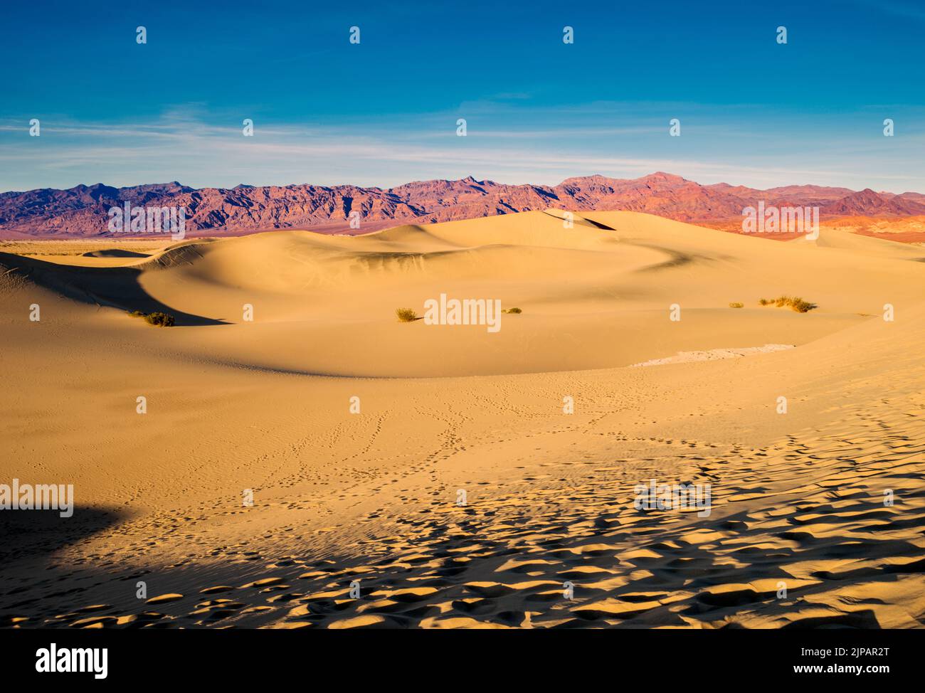 Dunes de sable de Mesquite, parc national de la Vallée de la mort, Californie, Amérique du Nord, États-Unis Banque D'Images