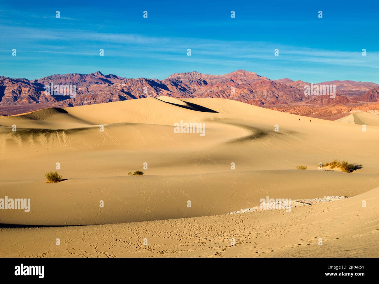 Dunes de sable de Mesquite, parc national de la Vallée de la mort, Californie, Amérique du Nord, États-Unis Banque D'Images