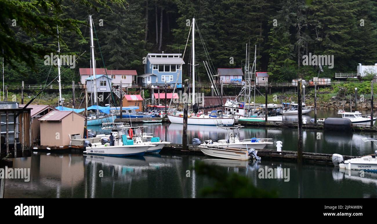 Elfin Cove, Alaska, États-Unis. 1st août 2022. La station balnéaire pittoresque et le village de pêcheurs d'Elfin Cove, dans la région du recensement de Hoonah-Angoon, sur l'île Chichagof, en Alaska, à 85 milles à l'ouest de Juneau, ont une population toute l'année de 24 personnes au recensement de 2020. Il est montré le soir de lundi 1 août 2022. La population augmente pendant la saison touristique d'été. (Image de crédit : © Mark Hertzberg/ZUMA Press Wire) Banque D'Images