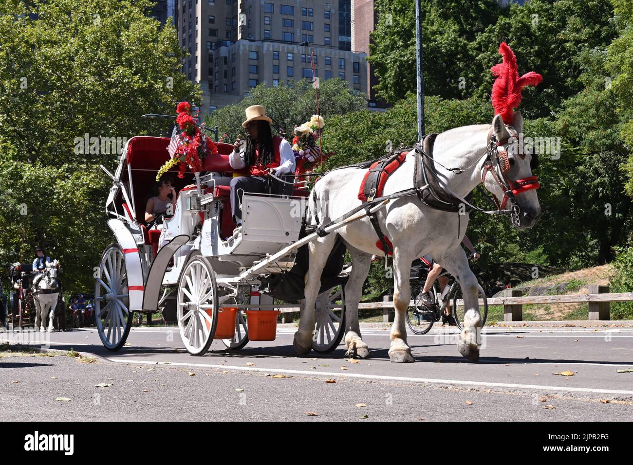 Les gens font une promenade en calèche dans Central Park sur 16 août 2022 à New York. Banque D'Images