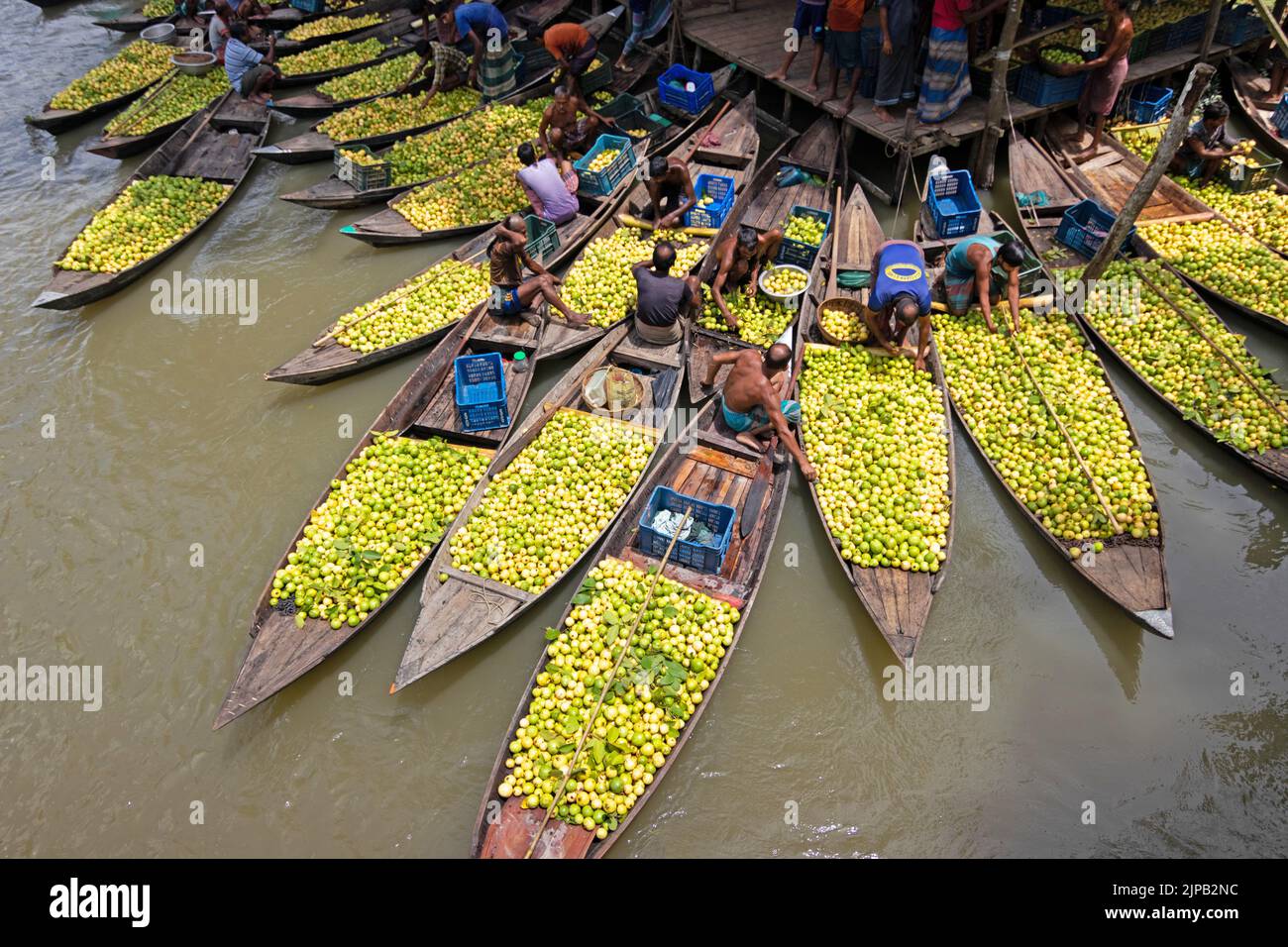 Barisal, Bangladesh. 16th août 2022. Un marché flottant de la goyave dans le district de Barisal, au sud du pays. Connue sous le nom de Venise du Bengale, elle est en effervescence avec les acheteurs et les vendeurs comme la récolte de la goyave est à son apogée. Les guavas sont cultivés dans des vergers le long de la rivière et transportés par bateau jusqu'au marché (Credit image: © Joy Saha/ZUMA Press Wire) Banque D'Images