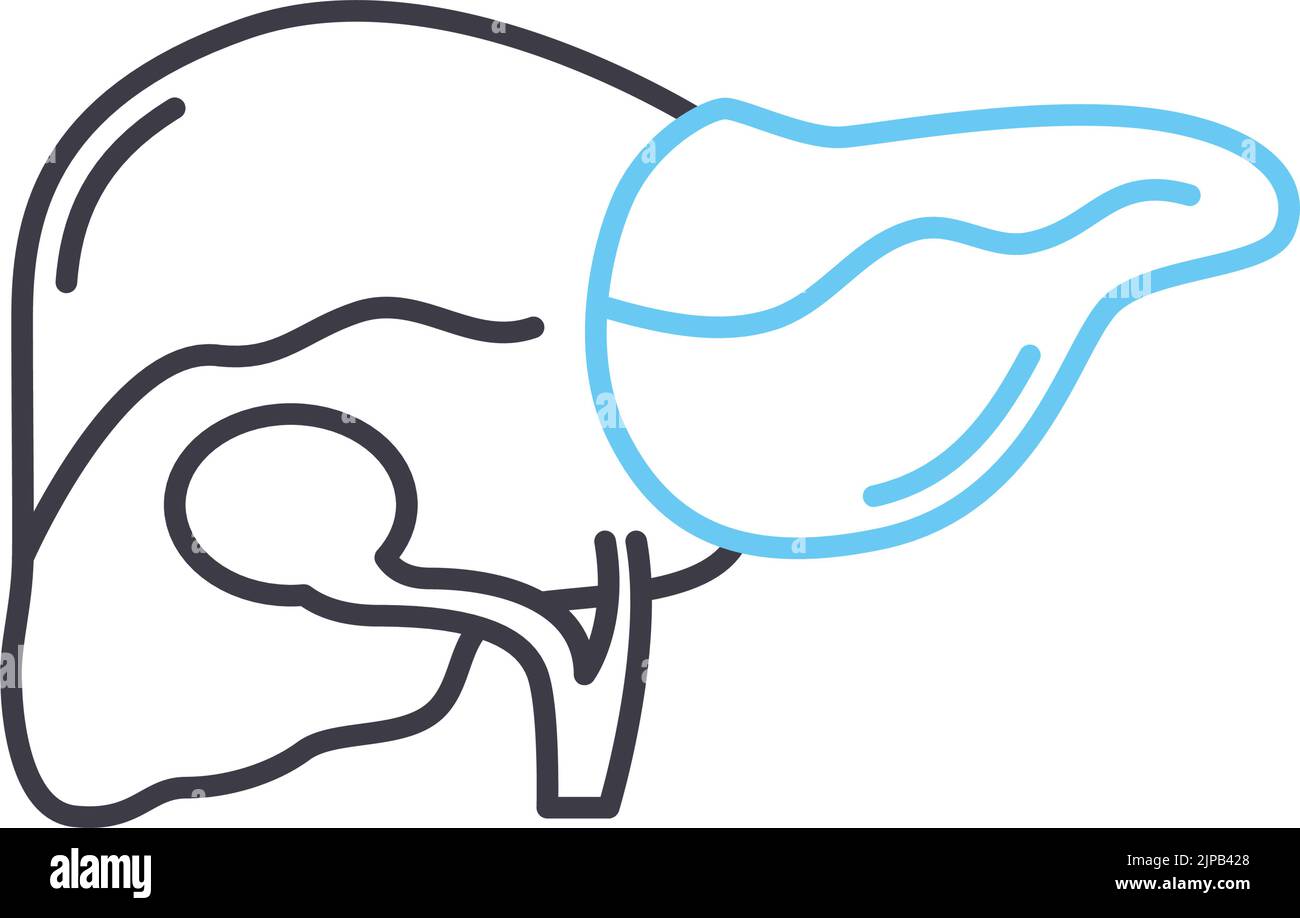 icône de ligne hépatique, symbole de contour, illustration vectorielle, signe de concept Illustration de Vecteur