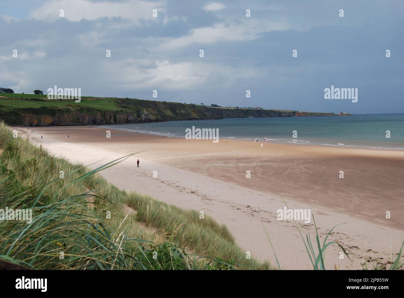 Une personne solitaire au loin marche le long de la plage de Lunan Bay un jour d'août à Angus, en Écosse. Dunes de sable avant-plan, Boddin point arrière-plan. Banque D'Images