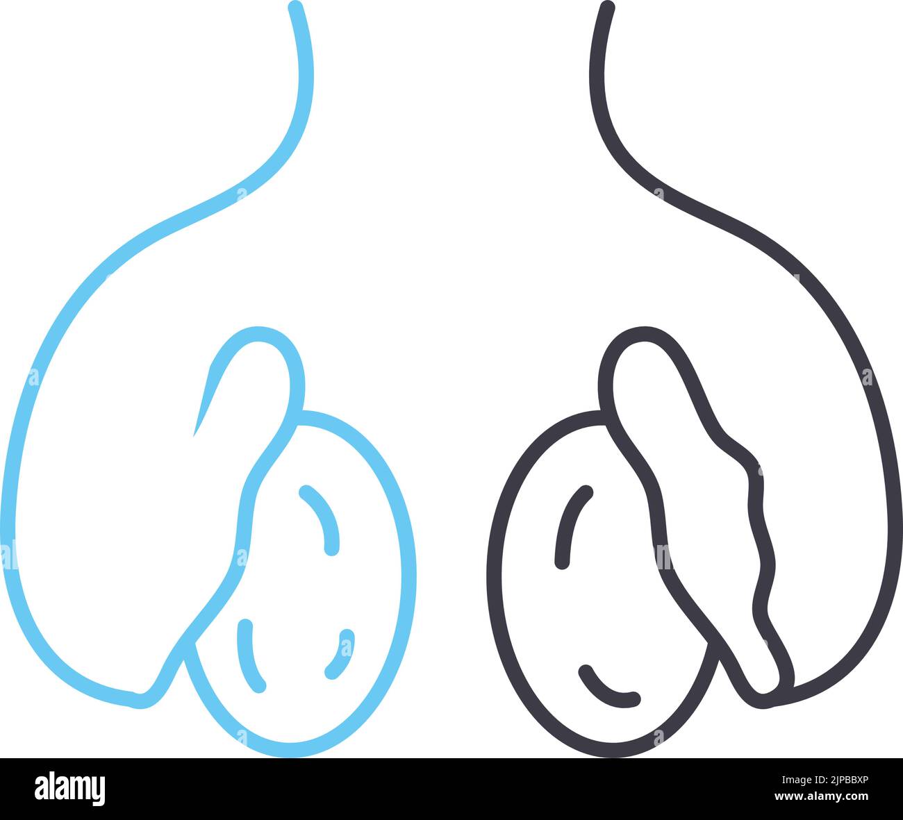 icône de ligne des testicules, symbole de contour, illustration vectorielle, signe de concept Illustration de Vecteur