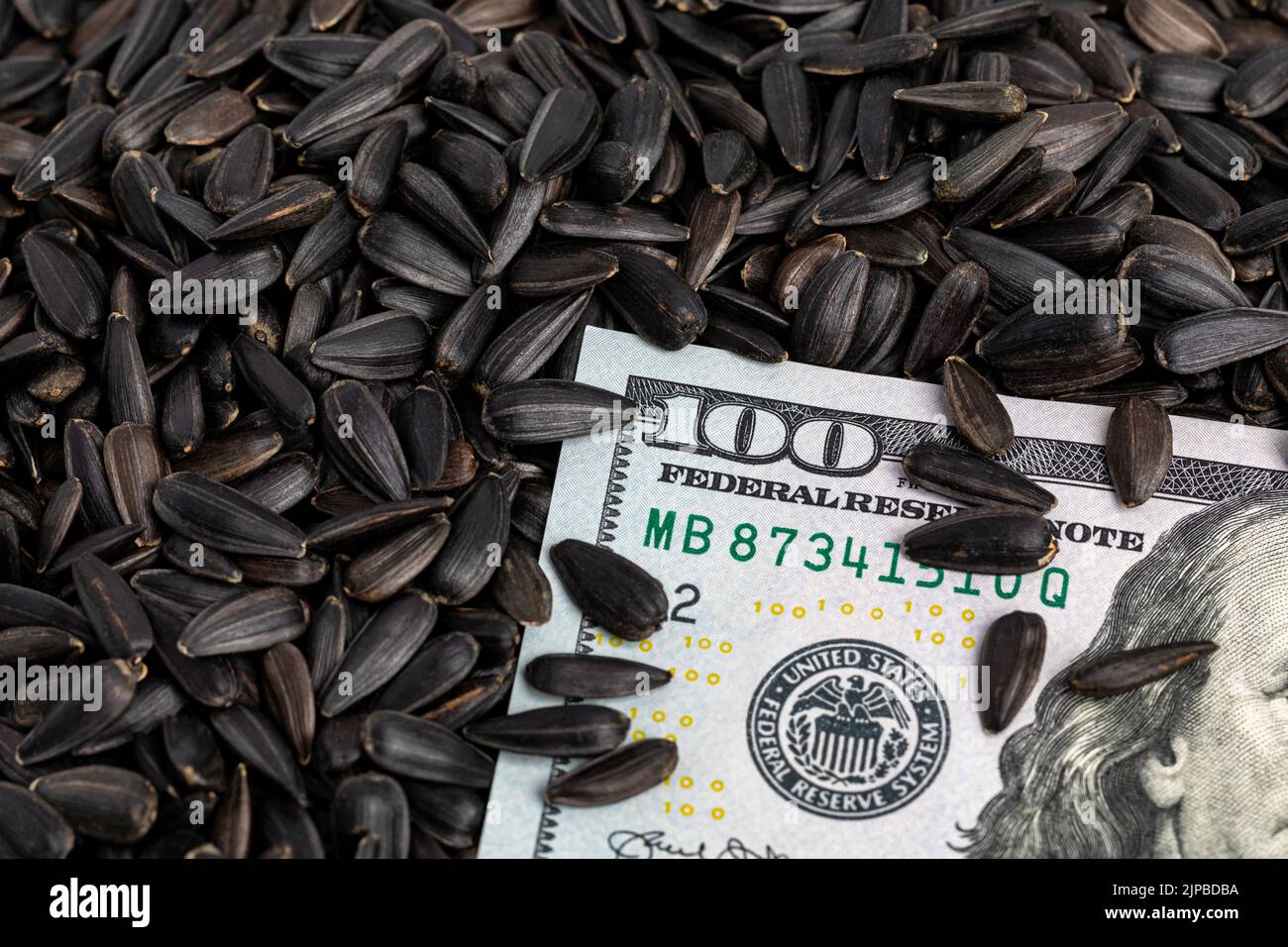 Graines de tournesol noires avec argent liquide. Huile de tournesol, culture des oléagineux et agriculture concept. Banque D'Images