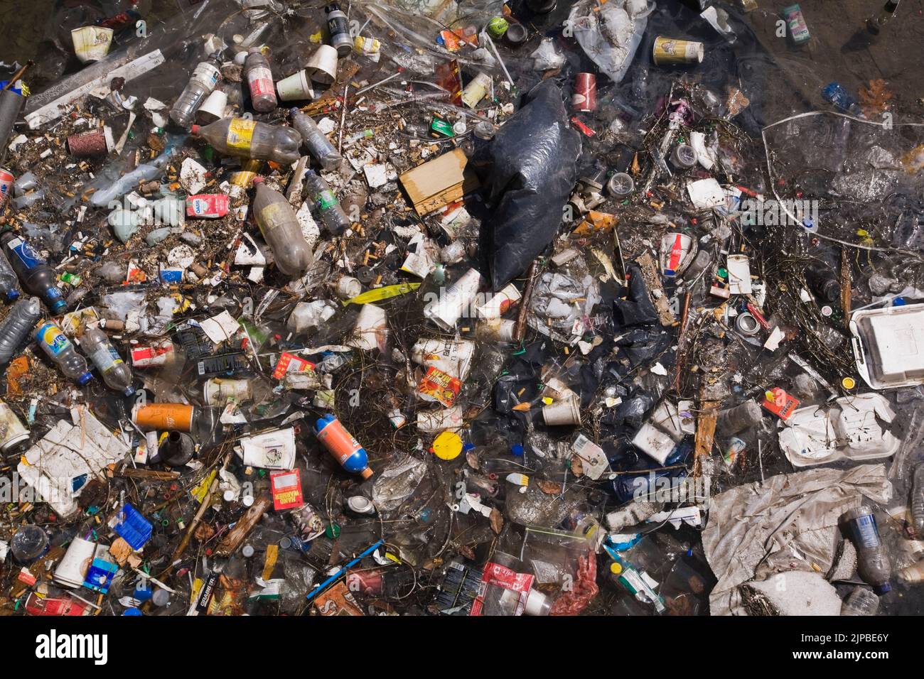 Déchets et débris jetés par flottent dans le Vieux-Port de Montréal, Québec, Canada. Banque D'Images