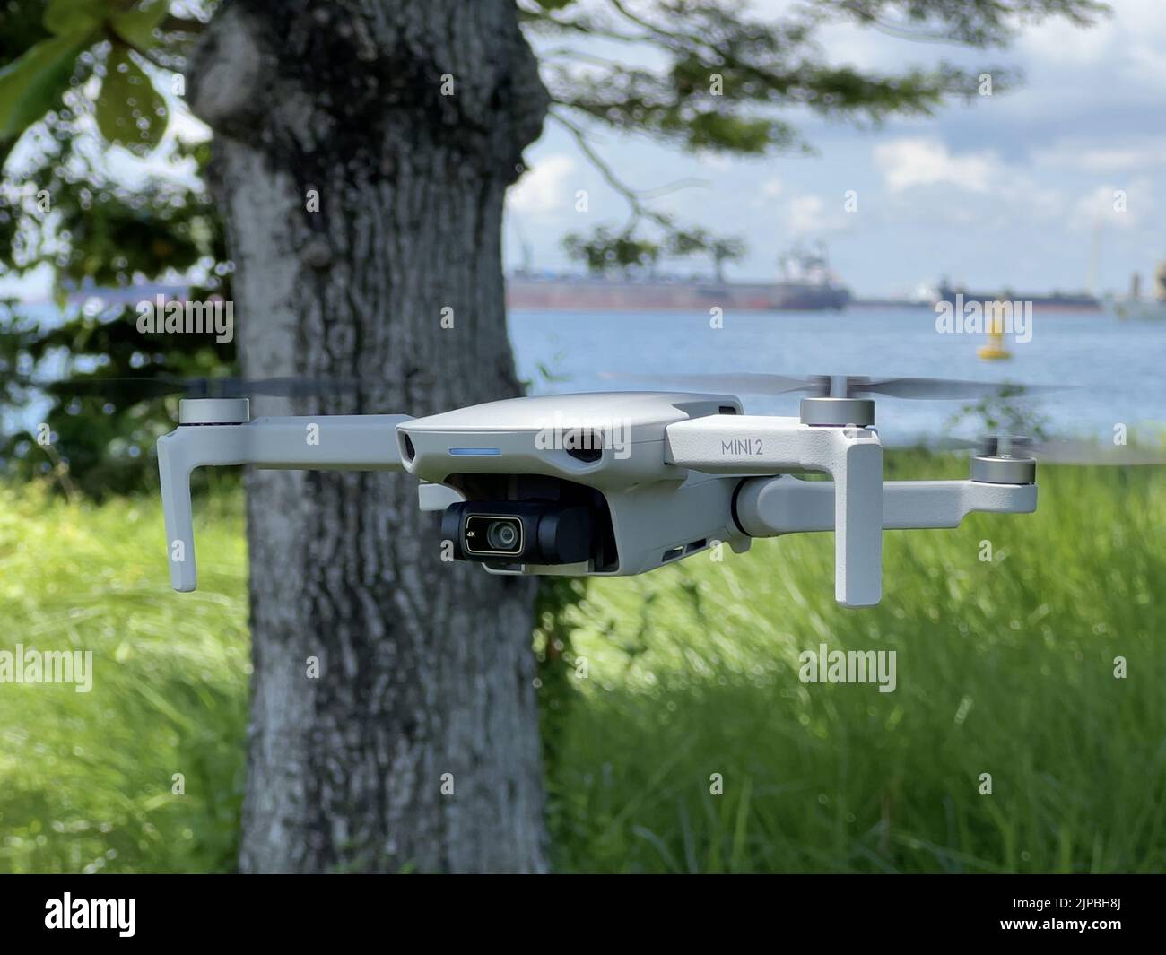 Un drone survole devant un arbre dans une zone côtière de Singapour Banque D'Images